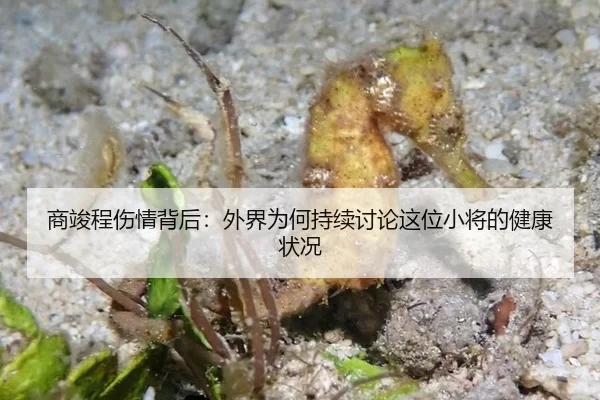 商竣程伤情背后：外界为何持续讨论这位小将的健康状况